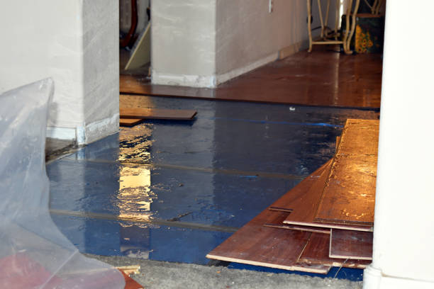 Professional Water Damage Restoration technician working in Landis, NC